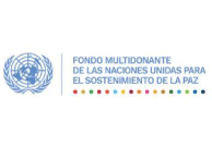 Logo ONU - aliados centro de consultoria empresarial