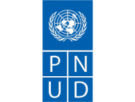 Logo PENUD - aliados centro de consultoria empresarial